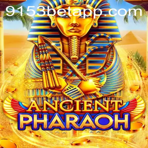 9153bet.com Casino App